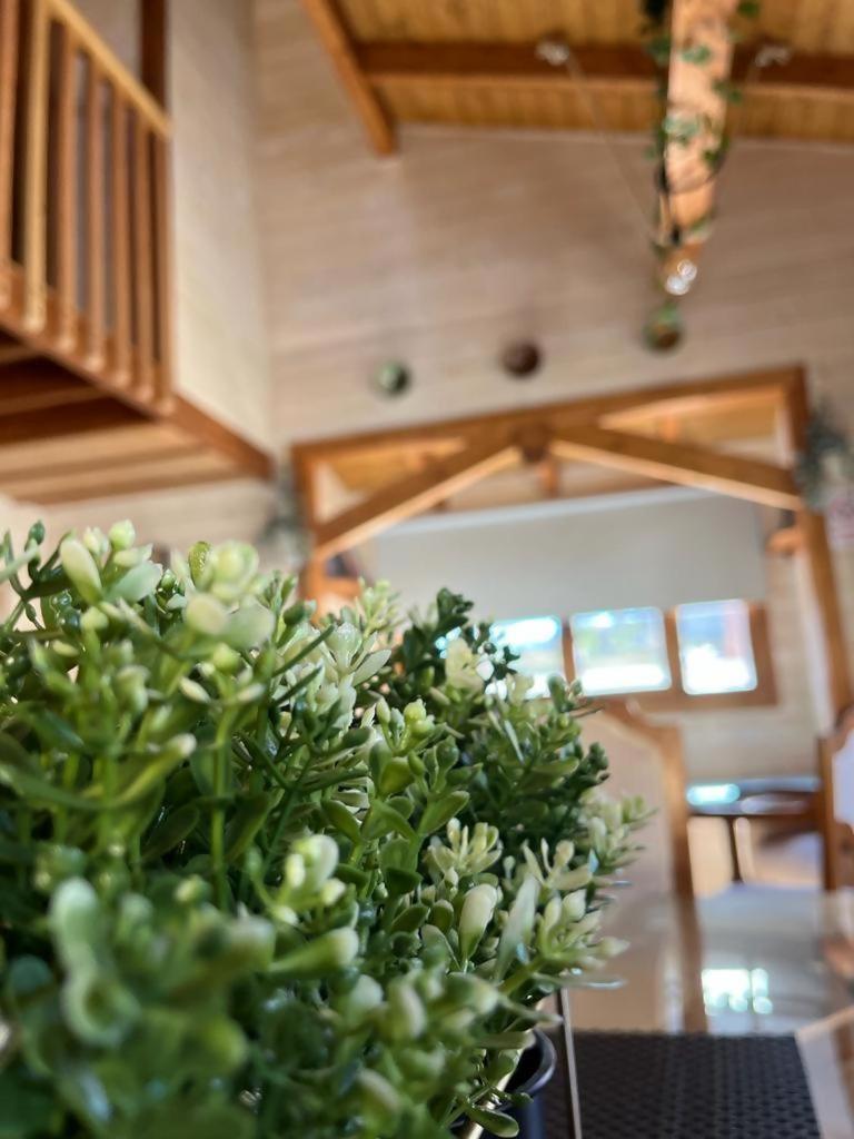 Luxury Rural Cuenca Villas Cameră foto